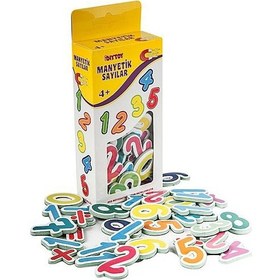 Resim Manyetik Sayılar 