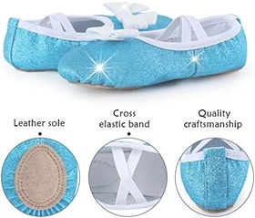 Resim DANSHOW Kız Bale Ayakkabıları Bölünmüş Taban Parlak Düz Dans Ayakkabıları Çocuklar İçin Bale Terlikleri (WX55-01-25) 