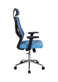 Resim Ofisbazaar Dolphin Siyah Fileli Yönetici Koltuğu Ergonomik Başlıklı Ofis Koltuğu Açık Mavi Mavi 
