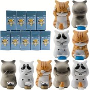 Resim 9 Stil Hasarlı Kedi Figürleri Blind Kutu İçinde - Küçük Kedi Süsleri, PVC Malzeme, Toplayıcılar ve Dekor İçin Mükemmel 