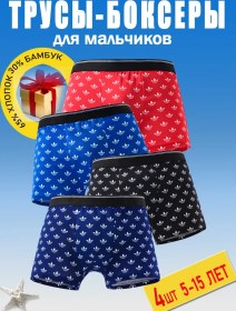 Resim Asij Çocuk Ve Gençler İçin Boksör Külot Seti 296779335 Mavi 