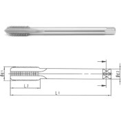 Resim Mte - Makina Takım M20X1.5 Hss-E Dın 374/C Metrik İnce Vidalı Düz Kanallı Makina Kılavuzu - B00105752006 