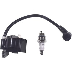 Resim Xiaaokeji Stıhl Fs55 Fs55c Fs46 Fc55 Fs38 Fs45 İçin Ateşleme Bobini Buji Takımı 