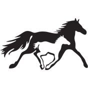 Resim At ve Yavrusu Oto Motor Laptop Duvar Folyo Sticker (Tip 2) 60X36 cm 