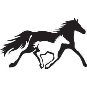Resim At ve Yavrusu Oto Motor Laptop Duvar Folyo Sticker (Tip 2) 60X36 cm 
