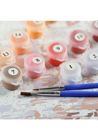 Resim Sayılarla Boyama Seti60x75cm 