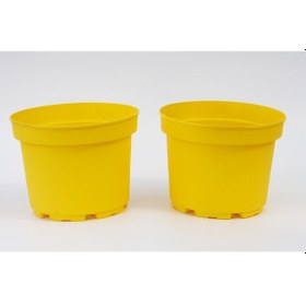 Resim Sarı Limon Saksısı 10 Adet ( 1.5 Litre ) 