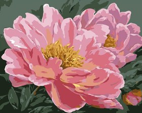 Resim Sayılarla Boyama Seti - Şakayık Çiçeği - 60x75 