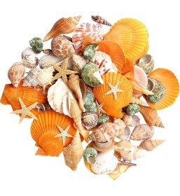 Resim Basto Akvaryum Partisi Düğün El Sanatları Aksesuarları (Yurt Dışından) 