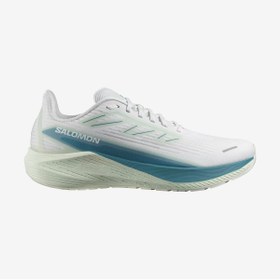 Resim Salomon Aero Blaze 2 Erkek Yol Koşusu Ayakkabısı ERKEK YOL KOŞUSU AYAKKABISI L47426100 