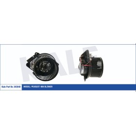 Resim Kalorifer Motoru 12V P406 504647250 