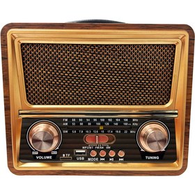 Resim Jopus Morrina II Bluetoothlu Radyolu Bluetooth Hoparlör 