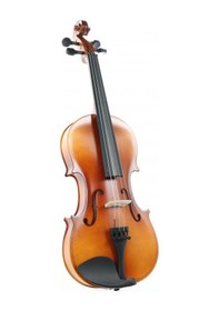 Resim Rosa Rv044m Başlangıç Serisi Keman Seti 4/4 Mat Öğrenci Kemani Kutu Ve Yay Dahil 