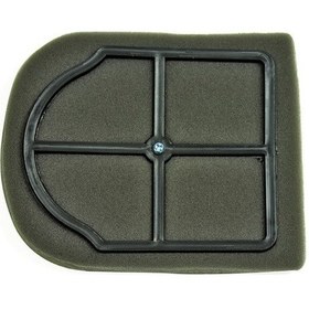 Resim Cg Hava Filitre Sünger Grubu Agk 