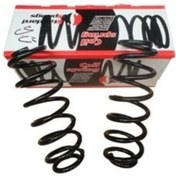 Resim Peugeot 307- 06/08 Arka Helezon Yayı Sağ/sol 2li Set 11,75x108 Stdr Diğer 