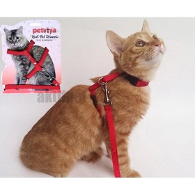 Resim Petviya Ayarlanabilir Kedi Göğüs Bel Tasması Kırmızı 