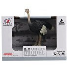 Resim Animal World Deve Kuşu 