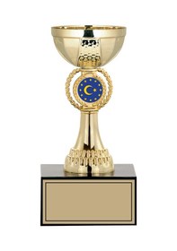 Resim Odak Kupa - Small Kupalar - S-005 C - 19 Cm Altın - Beyaz 