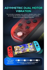 Resim RAYTENG Switch Oled Lite Uyumlu Rgb Işıklı Titreşimli Uzun Şarjlı Joy-con 