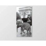 Resim Deniz Çerçeve Yavru Fil ve Adam Tablosu-Çerçevesiz - 100X200 