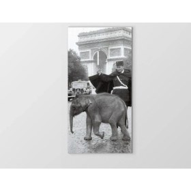 Resim Deniz Çerçeve Yavru Fil ve Adam Tablosu-Çerçevesiz - 100X200 