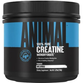 Resim Universal Animal Creatine Monohydrate 150 gr 