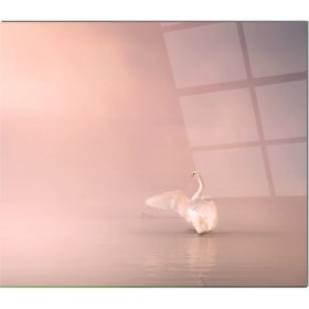 Resim Olinpa Cam Ocak Arkası Koruyucu | Kuğu Model 