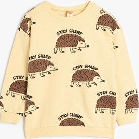 Resim Erkek Bebek Sweatshirt Uzun Kollu Bisiklet Yaka Kirpi Baskılı Şardonlu Pamuklu 