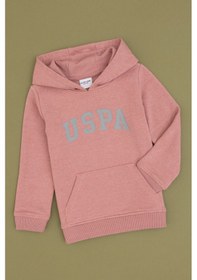 Resim U.s. Polo Assn. Erkek Çocuk Orkide Sweatshirt 50314005-vr221 Orkide 