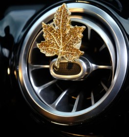 Resim TASARIM ARABAM ATİKE ELİF AKIN Gold Taşlı Yaprak Klima Koku 