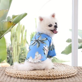 Resim Küçük Irklar İçin Yazlık Köpek Gömlekleri - Hafif, Nefes Alabilen, Dokuma Polyester Evcil Hayvan Giyim, Basın Düğmeli Kapanış, UV Koruma, Bahar, Yaz ve Sonbahar İçin Uygun. 