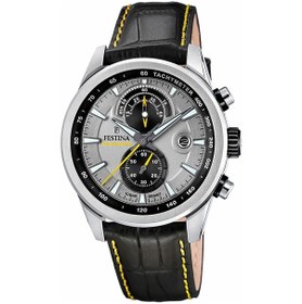 Resim Festına F20695/4 Tımeless Chronograph Erkek Kol Saati Gri 