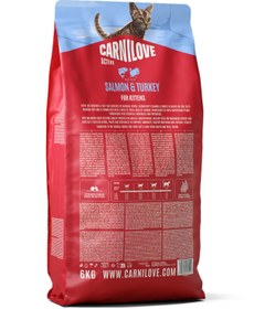 Resim ACTIVE Tahılsız Yavru Kediler İçin Somon & Hindi Etli Kuru Mama 6 kg 