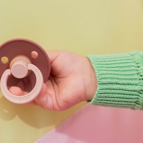 Resim Bibs Studio Colour Fusion Emzik-Woodchuck/Blush - 18+ Ay 