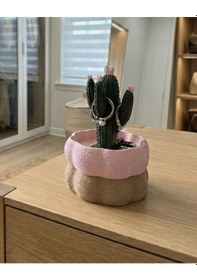 Resim Elana Design Kaktüs Tasarımlı Takı Kutusu Yüzük, Bileklik Ve Kolye Düzenleyici Dekoratif Saklama Kutusu Bej - Pembe 