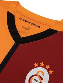 Resim Galatasaray Lisanslı 2024/2025 İç Saha Forma Aslan Ahşap Kutulu 001 