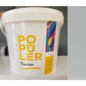 Resim Polisan Popüler Tavan Boyası 17,5kg 