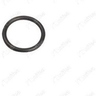 Resim Su Pompa Ve Termostat Borusu Contası Oring Boxer Jumper Ducato 1340.87 / Nıf 