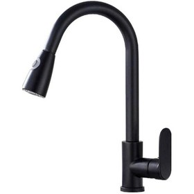 Resim Fleko Siyah Kuğu Spiral Eviye Batarya Ks10S01C 