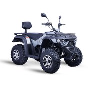 Resim Regal Raptor LINHAI M210 Onroad ATV - 2024 model 