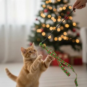 Resim Renklime Yılbaşı Temalı Kedi Oyun Oltası 