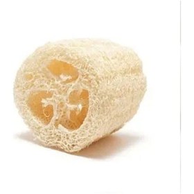 Resim Kabak Lifi Ham Parça, 15-18 Cm, 1 Adet Derya Eren 