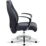 Resim Truva Misafir Koltuğu 