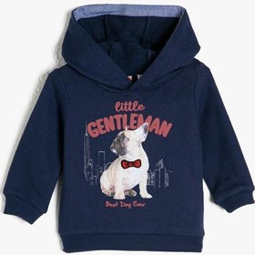 Resim Erkek Bebek Kapüşonlu Baskılı Uzun Kollu Sweatshirt 