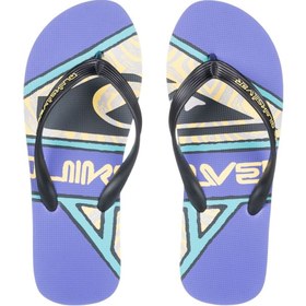 Resim Quiksilver Molokai Screen Erkek Terlik 