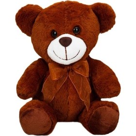 Resim Kurdeleli Peluş Ayı 21 Cm 