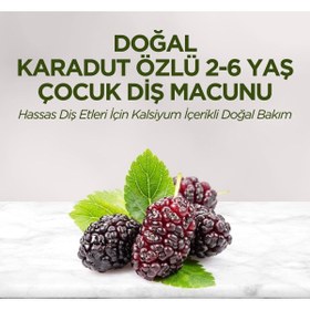 Resim Eyüp Sabri Tuncer 2'li Karadut Özlü 2-6 Yaş Çocuk Diş Macunu 60 ml 