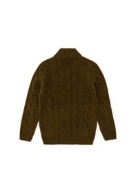 Resim U.S. Polo Assn. Erkek Çocuk Yarım Fermuarlı Haki Kazak 50297422-VR027 