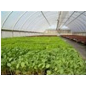 Resim Emek 10 M X 8 M 350 Mikron Eva Uv Katkılı 36 Aylık Sera Naylonu Kalın Sera Örtüsü Branda 