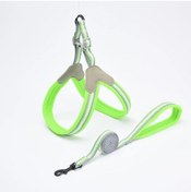 Resim Açık Yürüyüş Yavru Kedi Tasması Küçük Kediler İçin Mascotas Aksesuarları Örgü Green Xl 